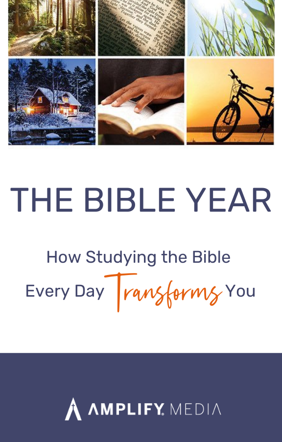 Copy of The Bible Year Logo