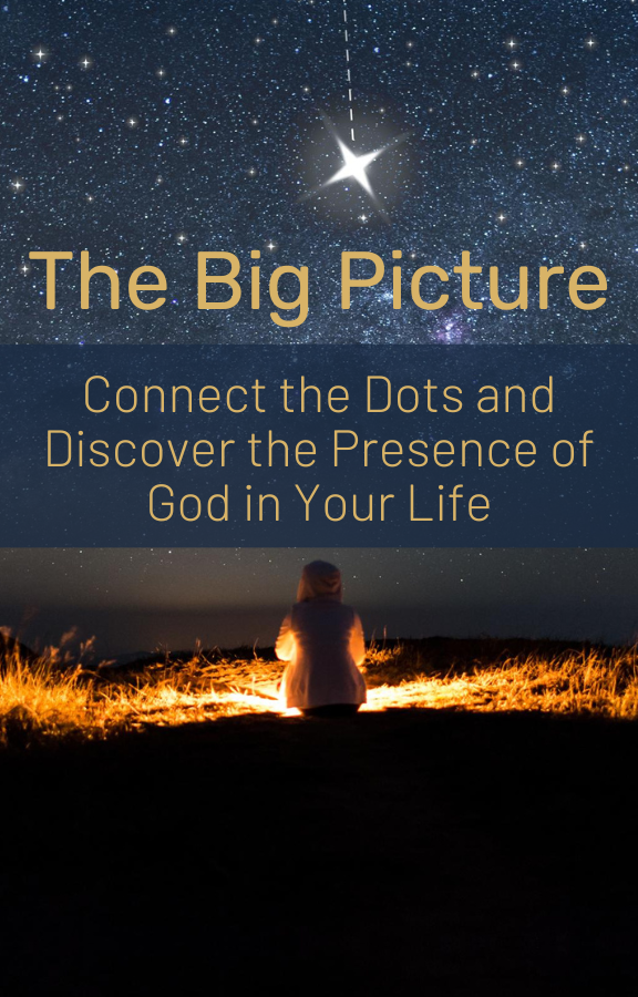 The Big Picture Logo