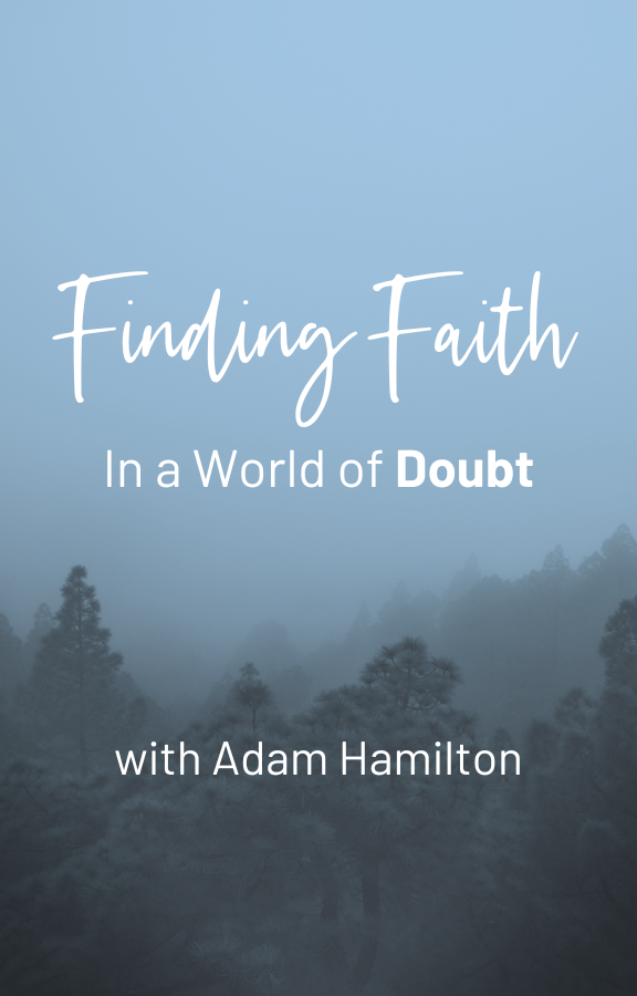 Adam Hamilton Doubt - Small Banner