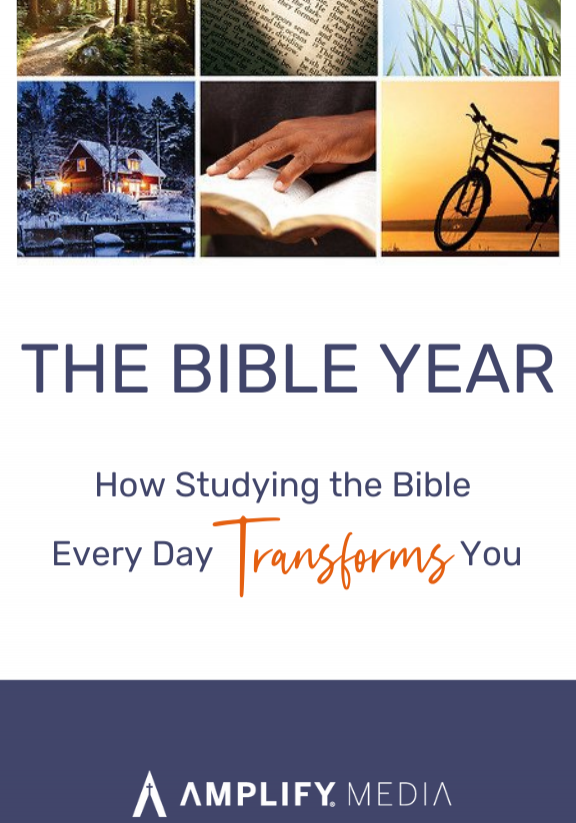 The Bible Year 576 x 1010